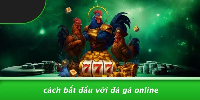 Cách Bắt Đầu Với Đá Gà Online